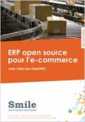 ERP e-commerce livre blanc