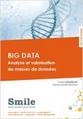 Livre blanc Big Data Smile