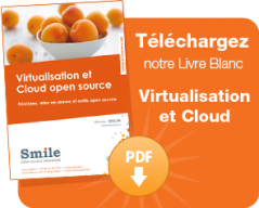 Livre blanc Virtualisation et Cloud